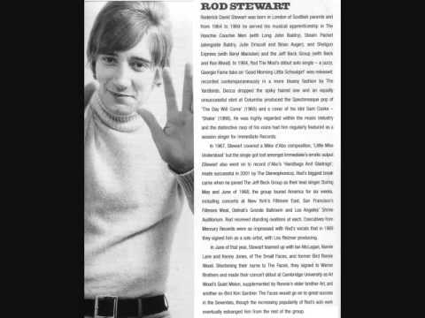 THE STEAMPACKET (feat. ROD STEWART) / WONDERFUL ONE