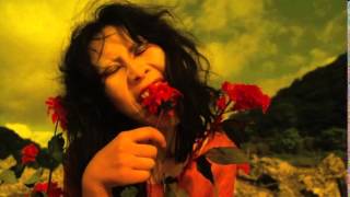 The Skull Defekts - Holy Drums Dub