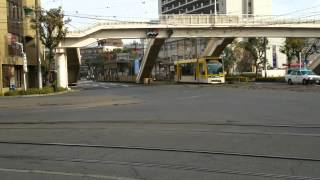 preview picture of video 'USEFUL Transportation! Turn of Yellw City Tram at Korimoto Station in Kagoshima City'