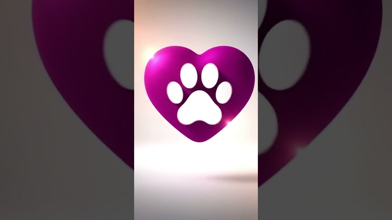 Cachorro raça SRD-ViraLata idade 2 anos nome Nina