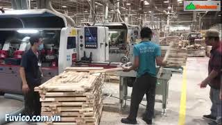 Máy bào 4 mặt 6 trục Woodmaster |  băng tải nạp phôi tự động, năng suất cao