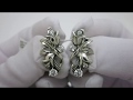 Відео огляд Срібні сережки 190кн