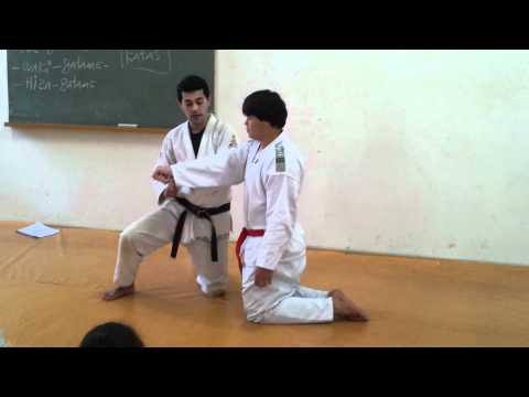 Tashima no Judo
