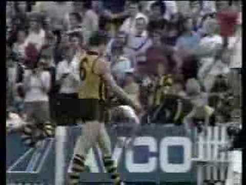 Hawthorn V Geelong Round 3 1979