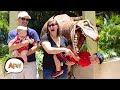 Watch Them Scream Dinosaur Edition Try Not To Laugh AFV 2019