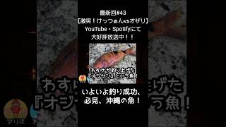 いよいよ釣り成功【アリスとわすけのハイボールラヂオ】#雑談#ラジオ#shotrs