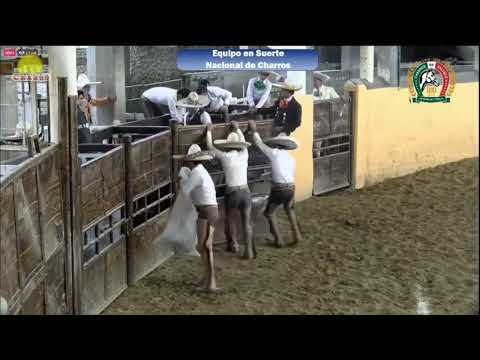 #BoletinCharroTv con las 3 extraordinarias jineteadas de yeguas en el aniversario de ch. de Jalisco