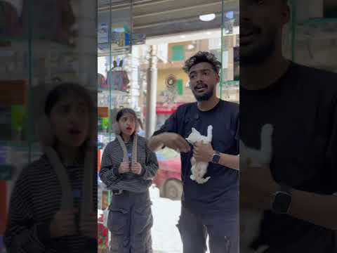 التليفون اصبح قطه