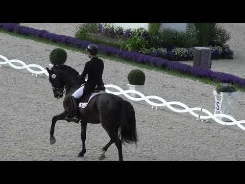 Poeta de Susaeta - CHIO AACHEN 2021 - ANDALUSIAN HORSE - YEGUADA SUSAETA