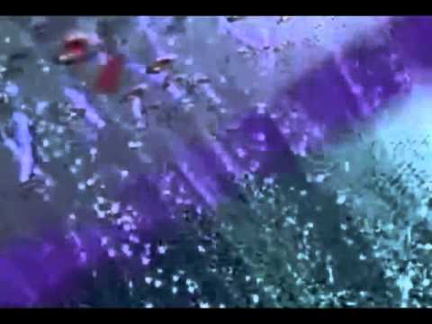 B1.14 Responding to stimuli