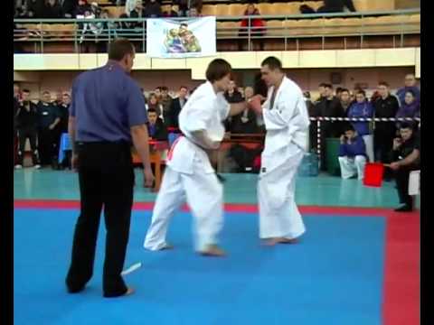 Ерёменко А.Е. против Пирогова