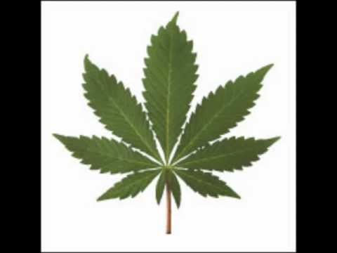 SMOKE YOU UP with Big Cypes of Sock A Bitch Records