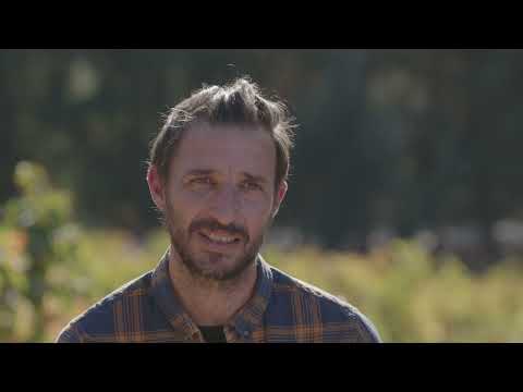 Μαυροδάφνη Πατρών ΠΟΠ