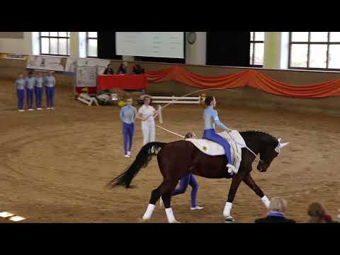 RV BiBi - M-Team - Pflicht - DVP Schwaiganger 2022