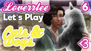 Cats & Dogs #6: Lovely Lighthouse