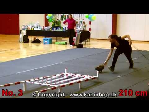 Danish Championships 2014 in Rabbit Hopping - Long Jump - TOP 9