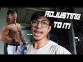 NO SUPPLEMENTS FOR 3 DAYS | ADJUSTING PHASE NANAMAN | STILL GOT THE GAINS