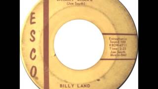 Billy Land - Shimmy Shake