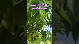 Download lagu #schönbrunn #theempress #vienna #austria mp3 Download lagu #schönbrunn #theempress #vienna #austria mp3