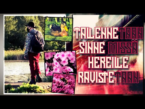 TallenneTAAN sinne missä hereille ravisteTAAN.