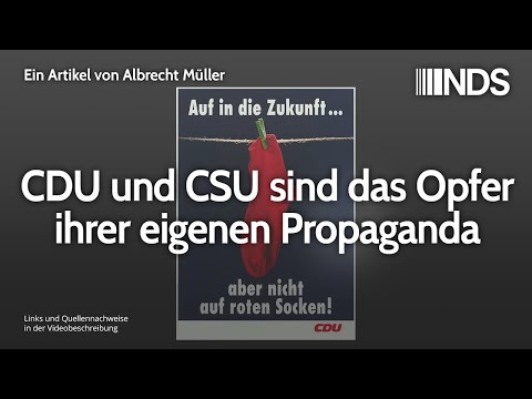 CDU und CSU sind das Opfer ihrer eigenen Propaganda | Albrecht Müller | NDS | 11.02.2020