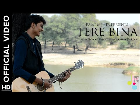 ronak bhatt Tere Bina | Ronak Bhatt | Official Music Video 
