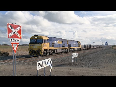 4PM4 Pacific National Steel Train With NR72 & NR86 (13/8/2023) - PoathTV Railways