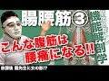 『腸腰筋3!鍛えると腰痛の原因となる!』CHICKEN HEART TV vol.161座学