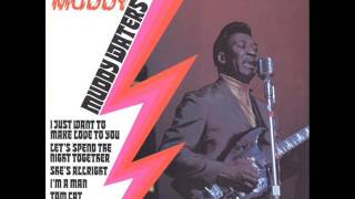Muddy Waters - Let&#39;s Spend The Night Together