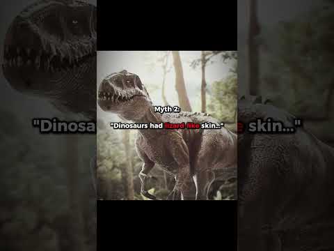 Dinosaur myths you still believe...💀