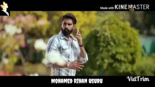 UU Status NO 14