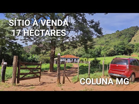 SÍTIO À VENDA , 17 HECTARES, PEQUENA NASCENTE DE ÁGUA, TUDO FORMADO EM PASTAGENS, EM COLUNA MG 