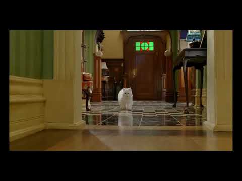 Stuart little in Hindi me mp4 full Stuart little in Hindi me mp4 full