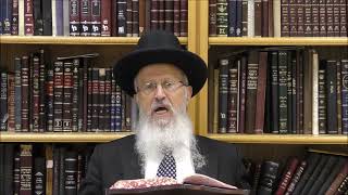 הגאון הרב אברהם יוסף שליט"א האם מותר לעלות להר הבית (הרב אברהם יוסף) - התמונה מוצגת ישירות מתוך אתר האינטרנט יוטיוב. זכויות היוצרים בתמונה שייכות ליוצרה. קישור קרדיט למקור התוכן נמצא בתוך דף הסרטון
