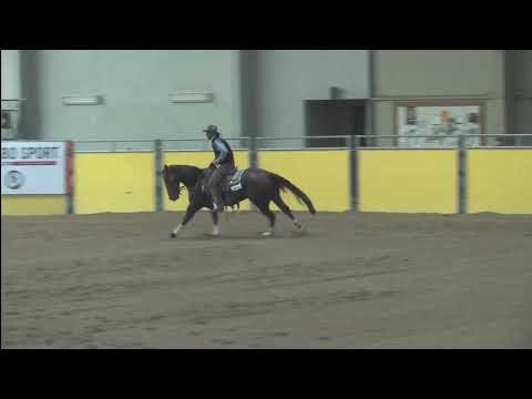 She Got Swagger & Daxon Buttars   2019 10 29   IRCHA   L1 Limited Open Futurity Rein Work