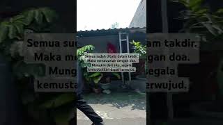 Download lagu 'menawar dengan doa' #sajak #puisi #katakatahariini #shorts #fyp #soundviral mp3 Download lagu 'menawar dengan doa' #sajak #puisi #katakatahariini #shorts #fyp #soundviral mp3