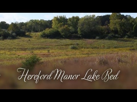 Hereford Manor Lake Beds:  Zelienople, PA  [2020]