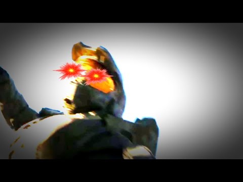 When Free Bird Kicks In