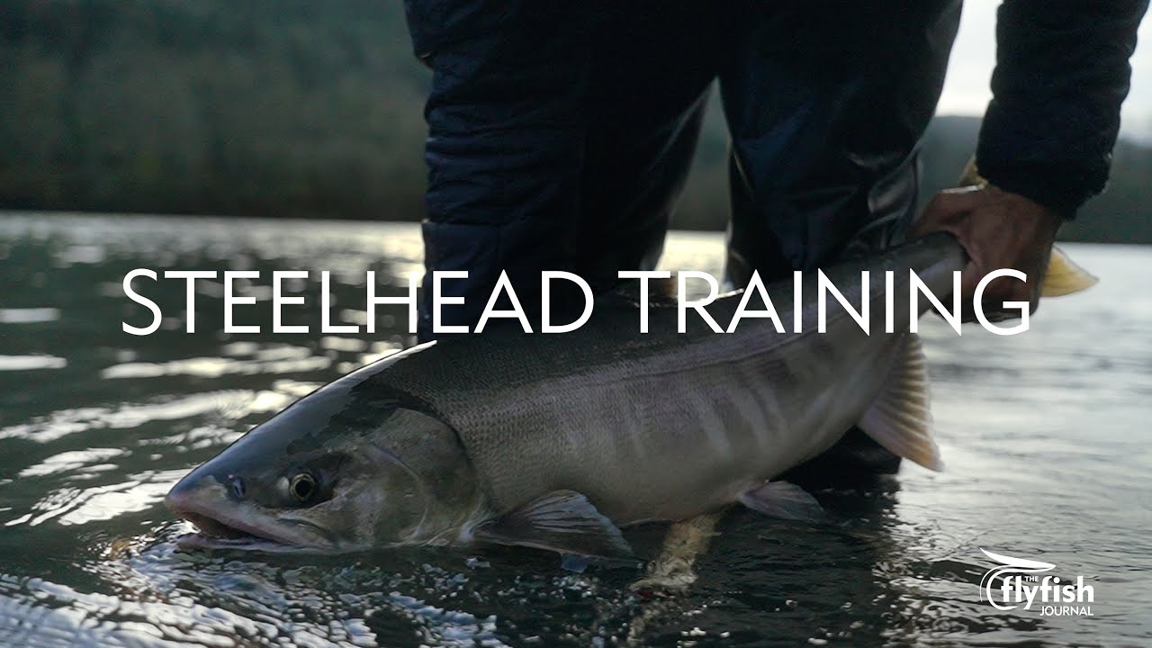 STEELHEAD TRAINING: Chrome Chum Salmon on the Swing with Jordan Young-Treadway