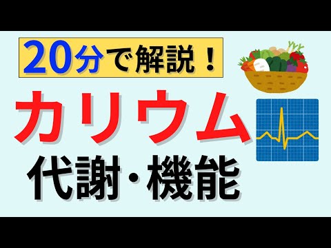腐食性