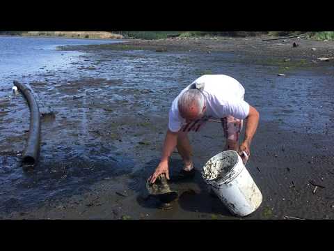 Doing the eel dance ...!