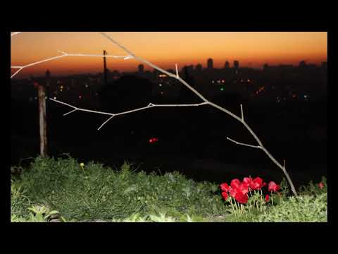 Ida Dillan - Neurochemicals (Free Download)