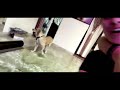 Shot On IPhone Meme Tanvi Sharma Aishwarya Sharma Funny Video Pubg Sara Girl