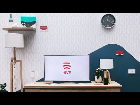 Hive - Customer Success Story