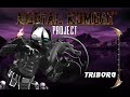 MK Project 4 1 S2 Final Update 5 Triborg Playthrough