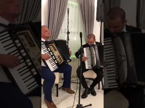 Puiu Chibici și Emanuel Mitrea