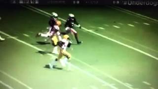 Underdogs by Chris Young