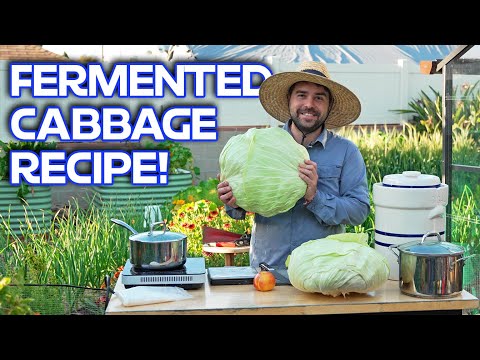 How I Make Fermented Cabbage The Bulgarian Way!
