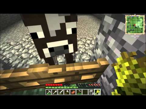 Cappsi hrá FTB 1.5 Direwolf20 [SK] ep. 8 - Uväznenie kráv a prvé enginy (HĐ)