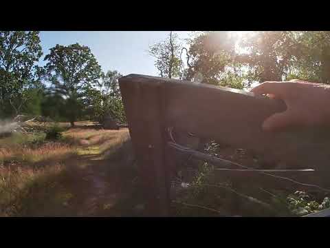 Skåneleden, SL2, etapp 15A, Sturup - Dörröd, 12 km den 29 juni 2019